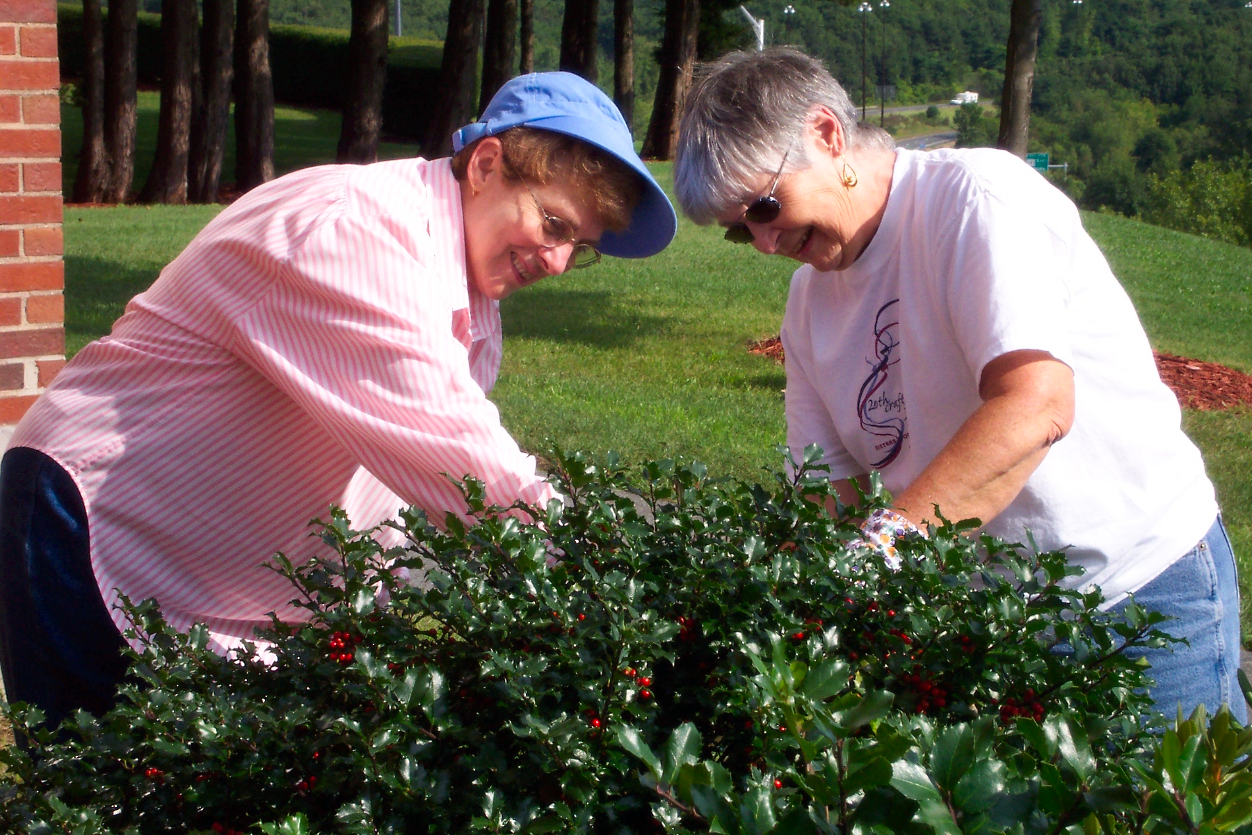 Caring for the earth